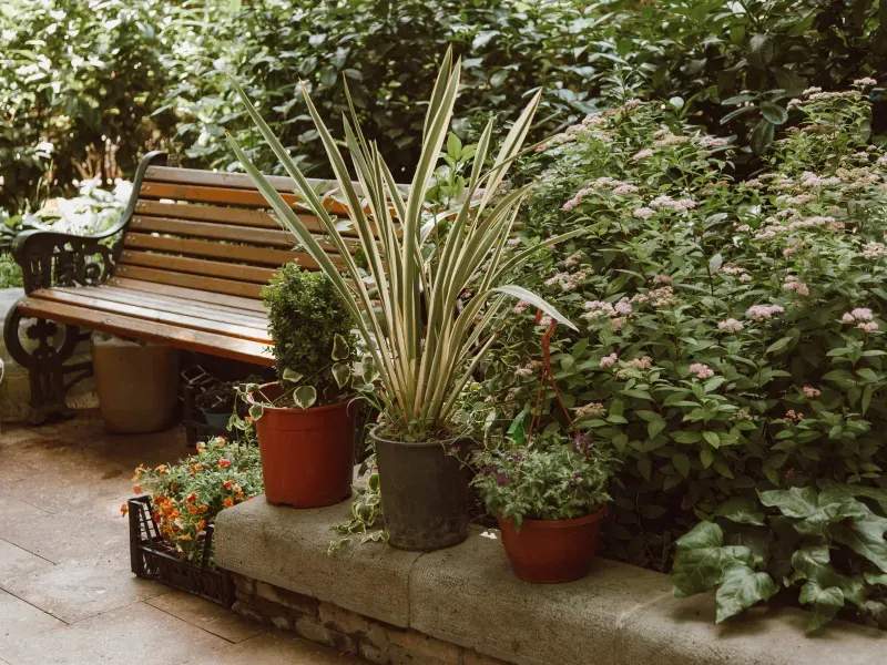 Designing a Garden That Feels Calm Year-Round