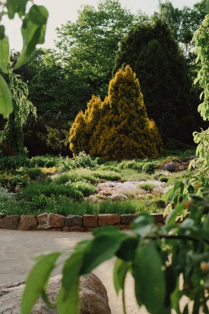 Front Garden Refresh for a Compact Urban Home